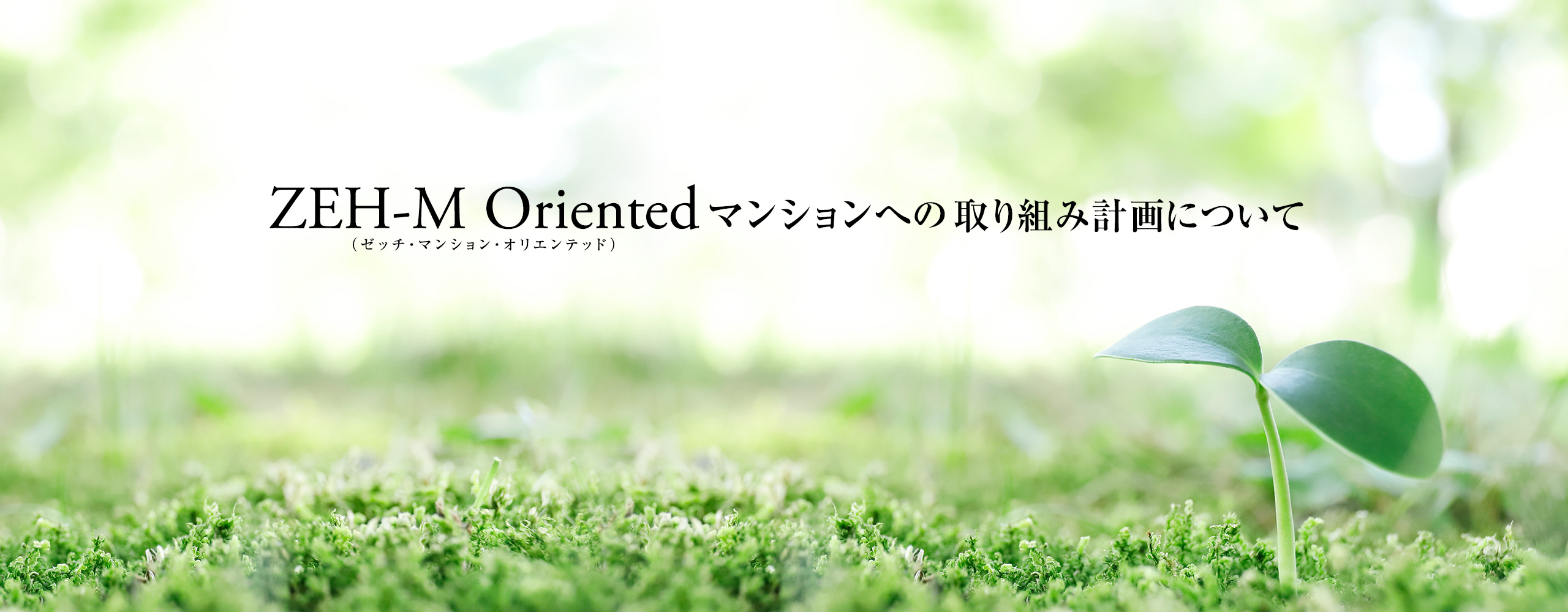 ZEH-M Oriented マンションへの取り組み計画について