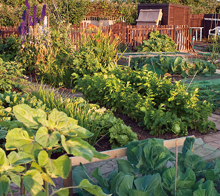 収穫の庭（貸農園）