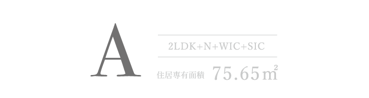 Aタイプ