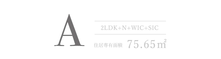 Aタイプ