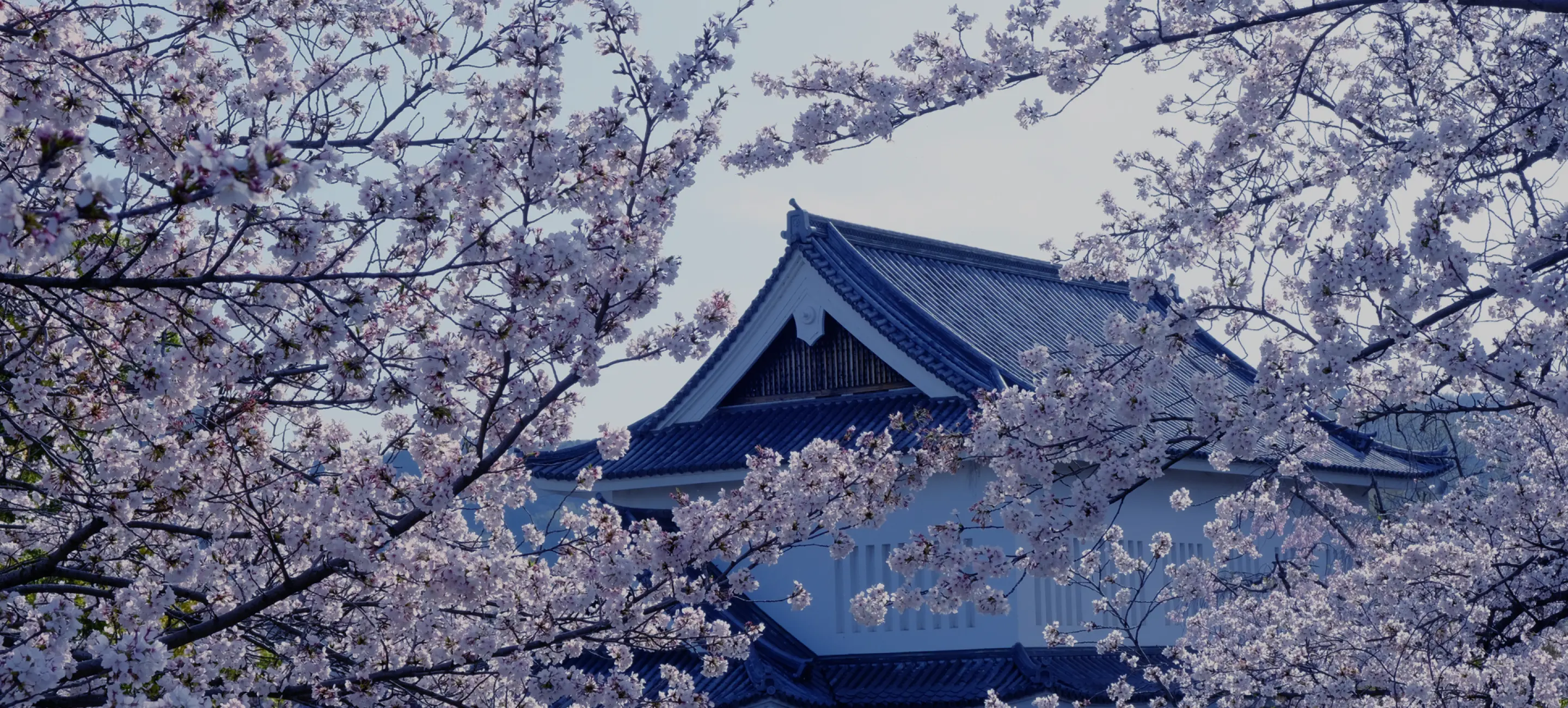 勝竜寺城公園image