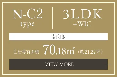 N-C2type