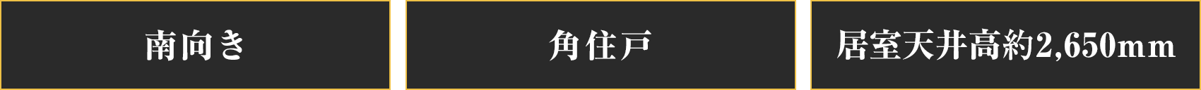 南向き,角住戸,居室天井高約2,650mm