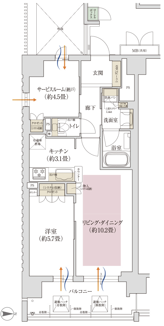 Dタイプ図面
