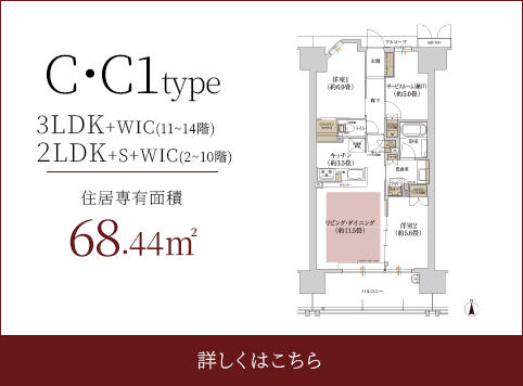 C・C1type