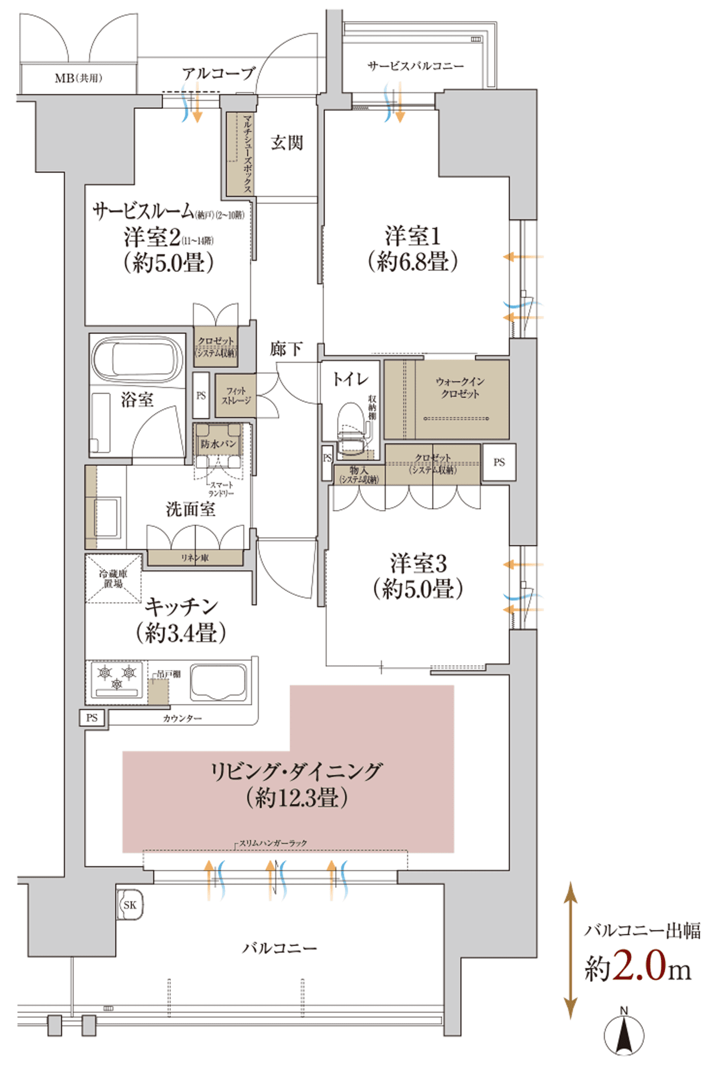 D・D1type