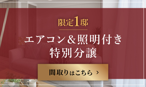 限定1邸　エアコン＆照明付き特別分譲