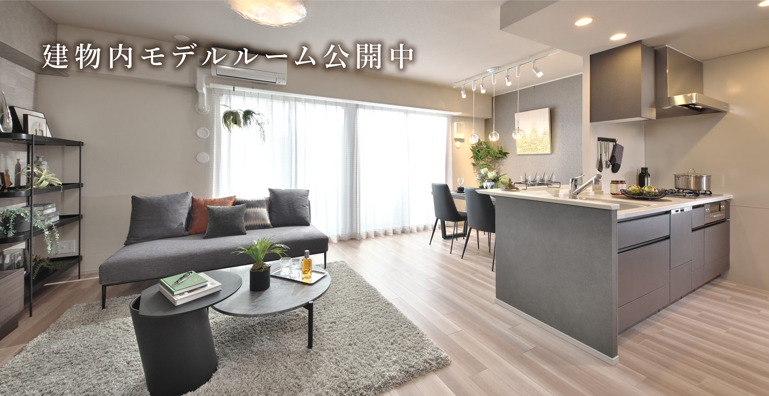 限定１邸 家具付きモデルルーム特別分譲