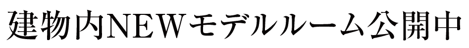 建物内モデルルーム公開中