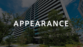 APPEARANCE