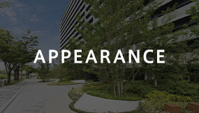 APPEARANCE
