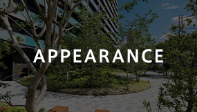 APPEARANCE
