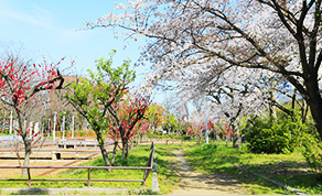 南港公園