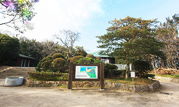 野鳥園臨港緑地
