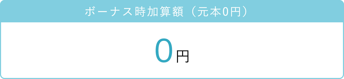 ボーナス時加算額