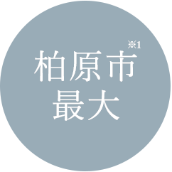 柏原市最大