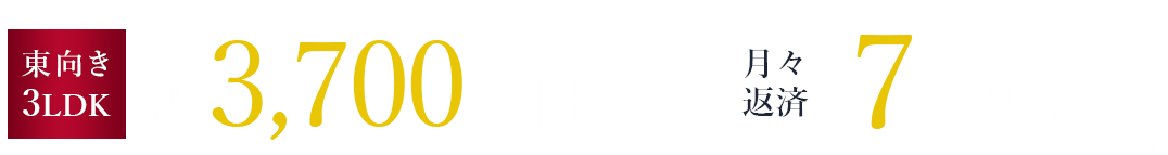 2LDK 南向き 3,300万円台～ / 3LDK 南向き 65㎡超 3,700万円台～