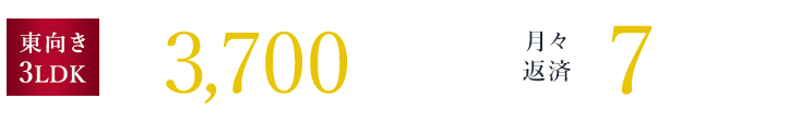 2LDK 南向き 3,300万円台～ / 3LDK 南向き 65㎡超 3,700万円台～