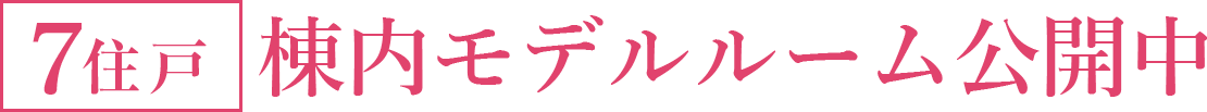 棟内モデルルーム公開中