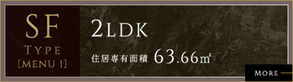 SF-M1 TYPE