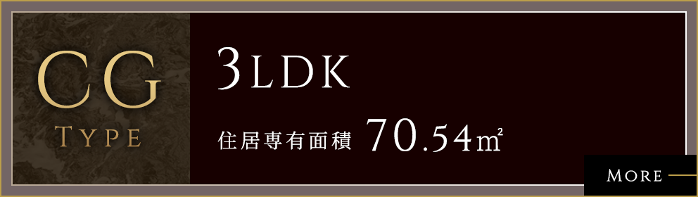 CG TYPE