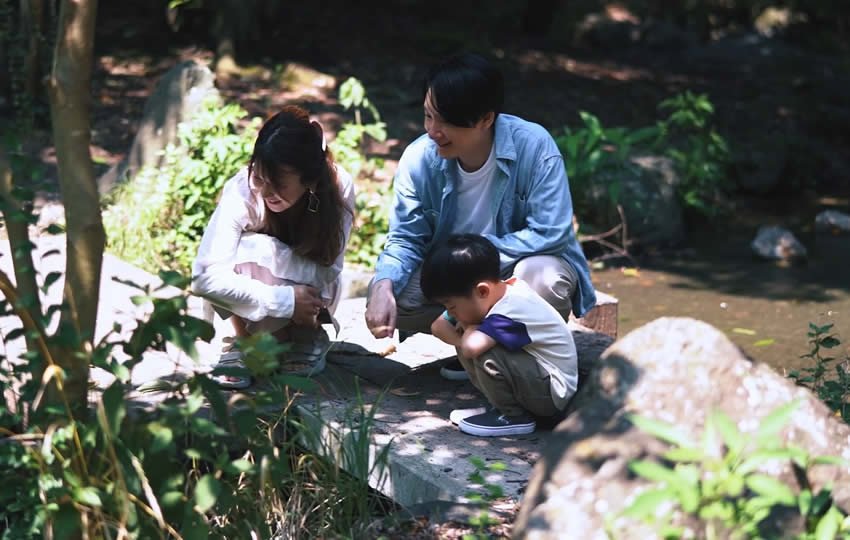 石澄みの丘と小川（水流）