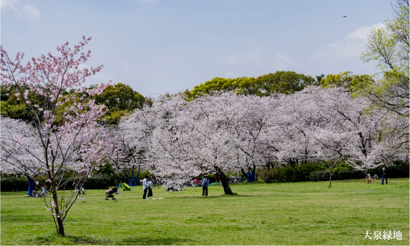 桜広場