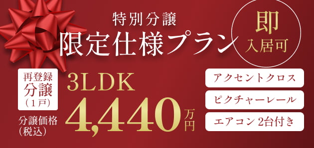 特別分譲限定仕様プラン