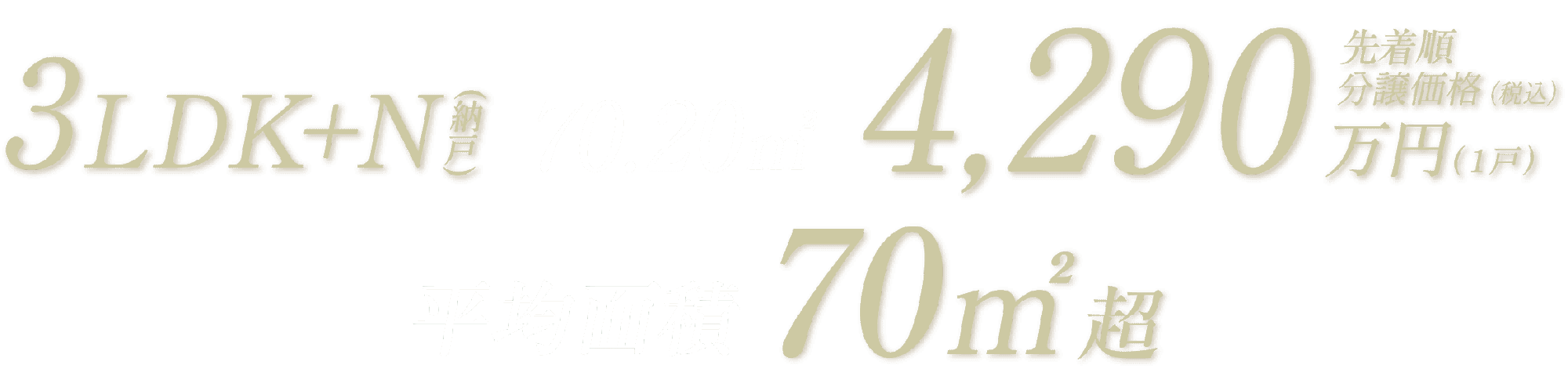 先着順分譲価格(税込) 3LDK+N 70.20㎡ 4,290万円(1戸) 平均面積70㎡超