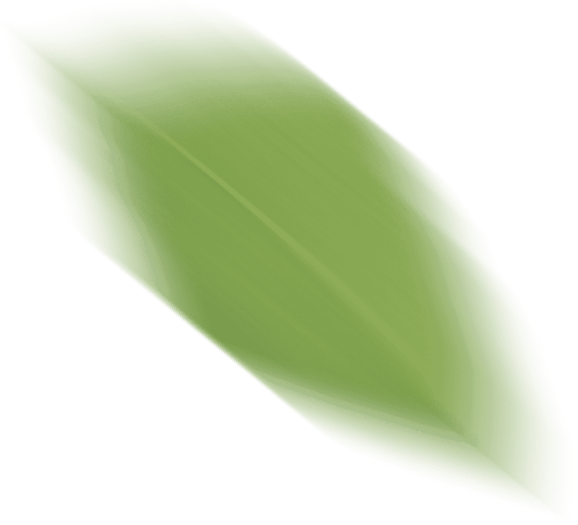 reaf