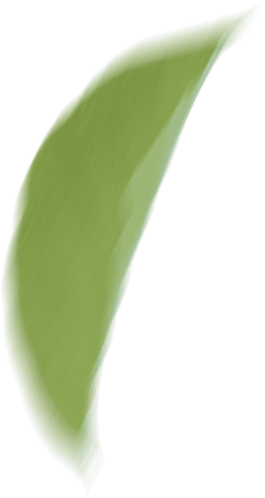 reaf