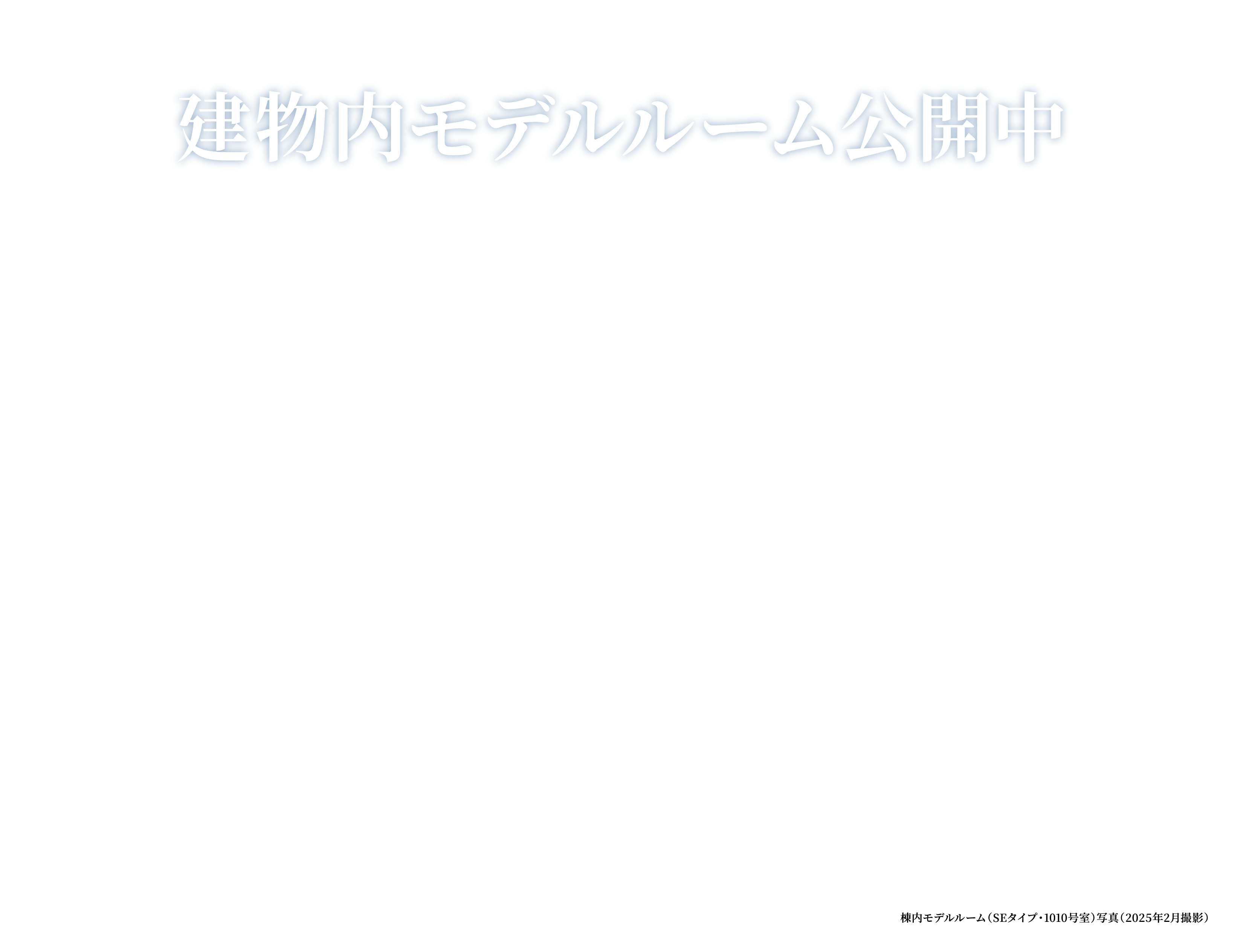 外観写真（2025年2月撮影）