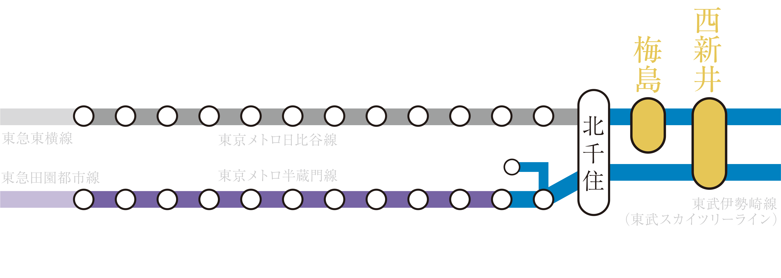 路線図