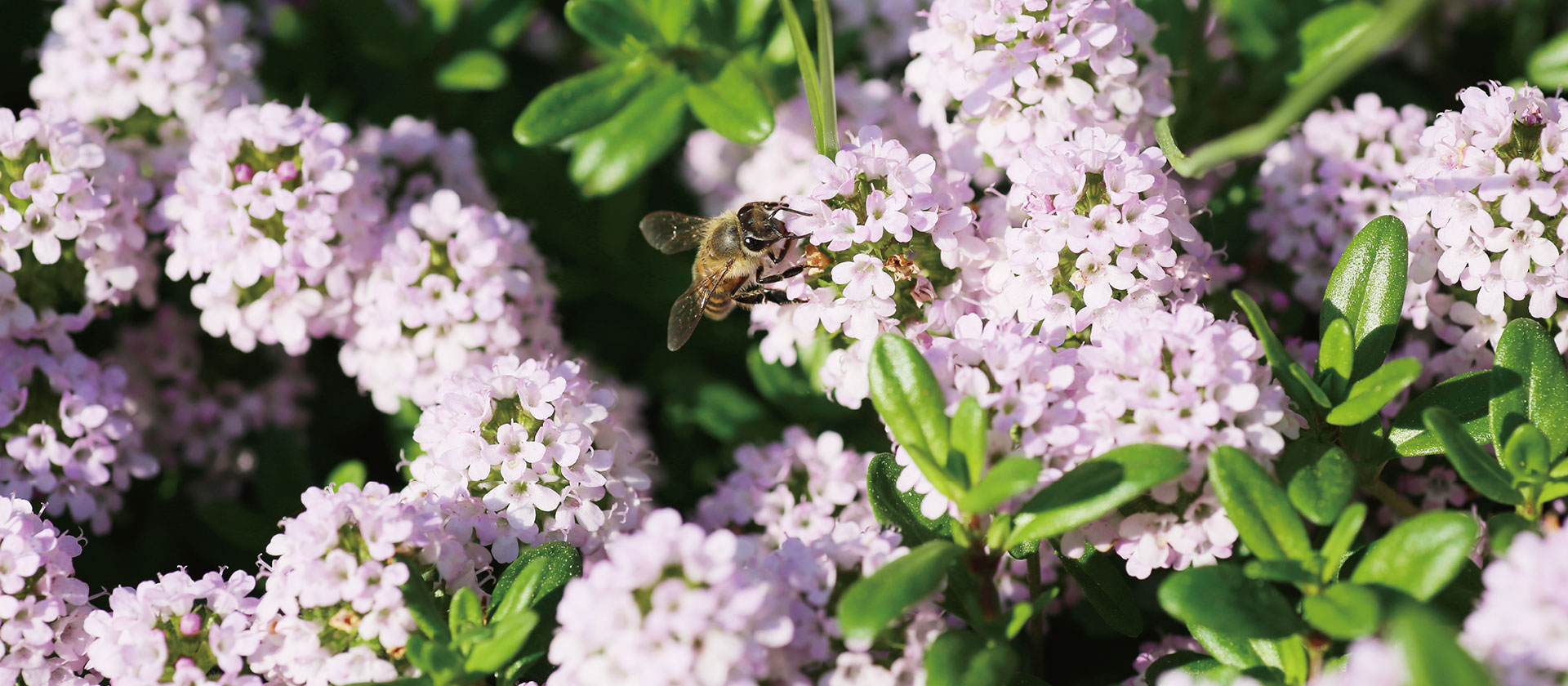 クリーピングタイム