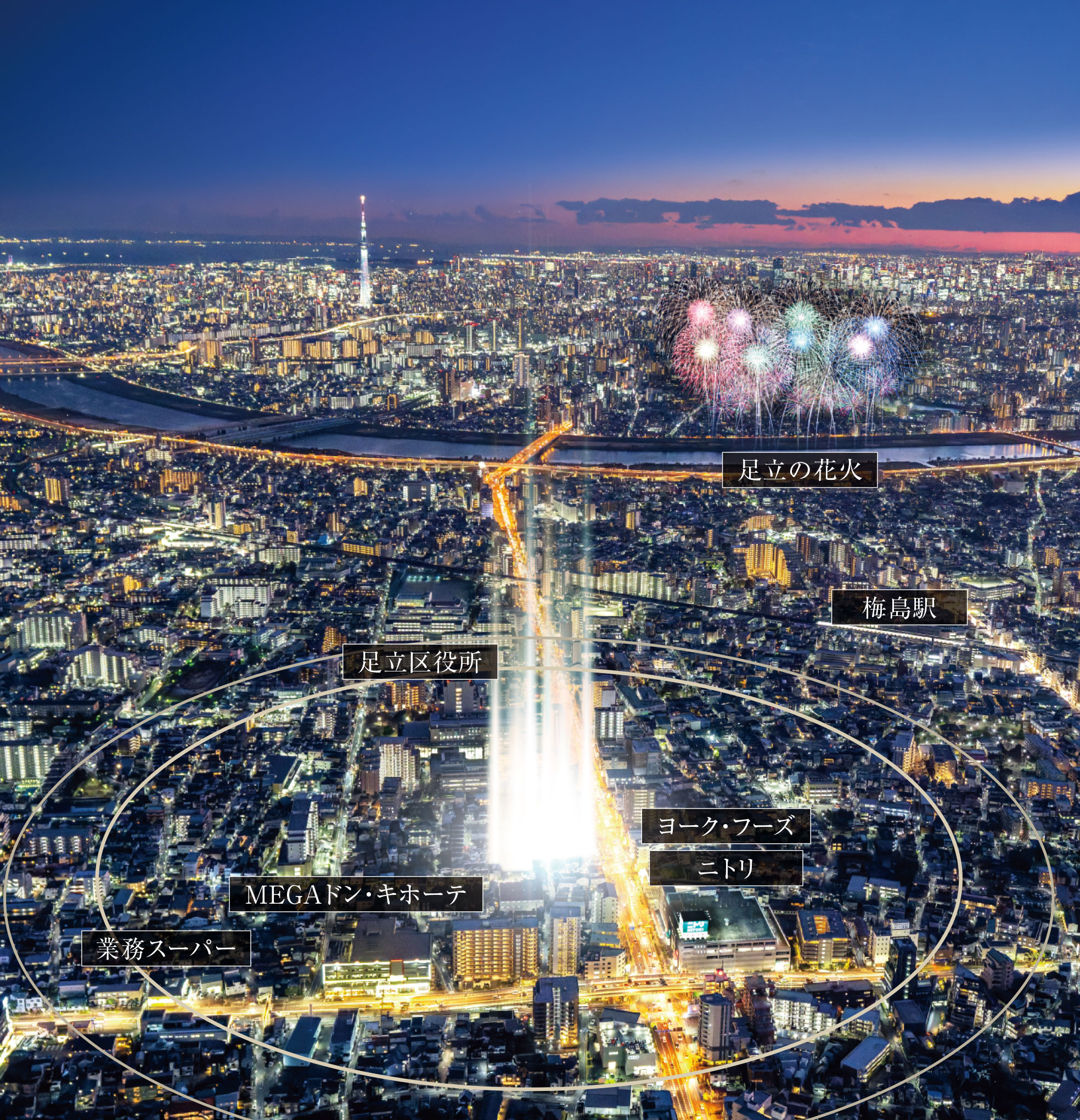 現地周辺の航空写真