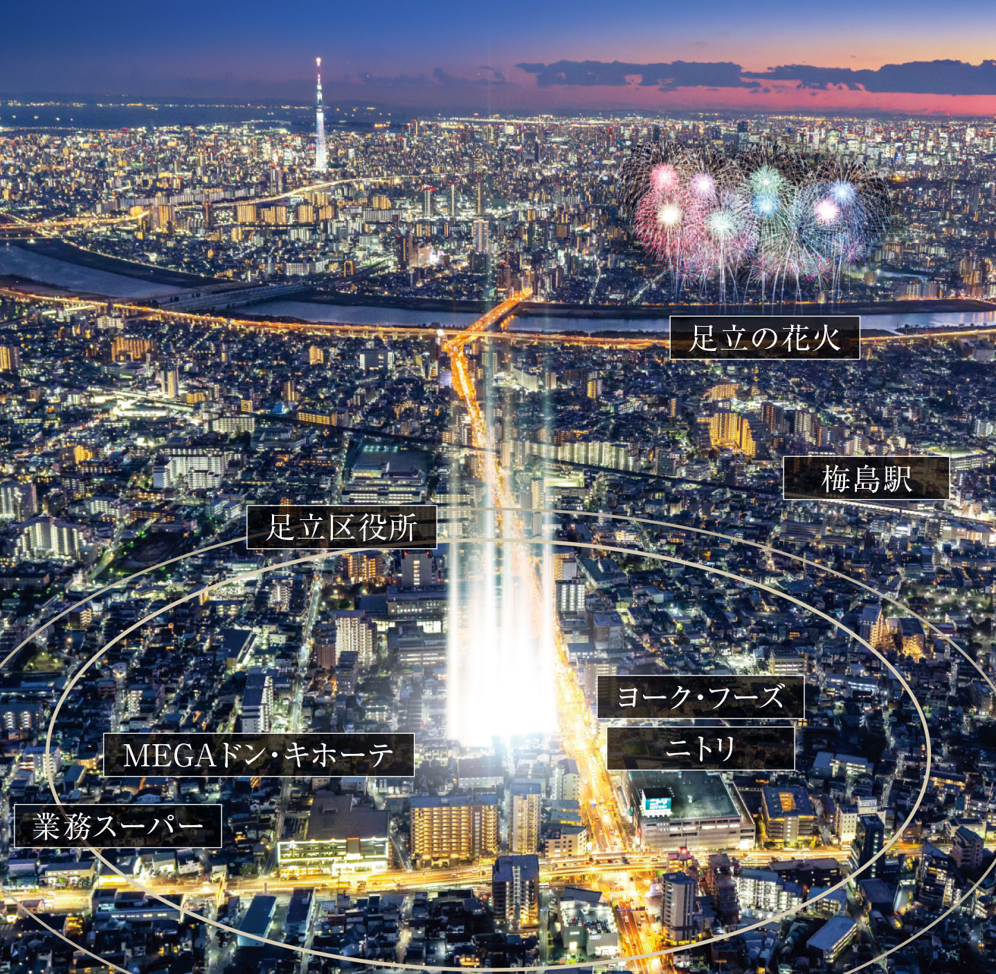 現地周辺の航空写真