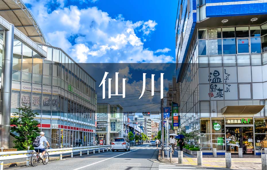 仙 川