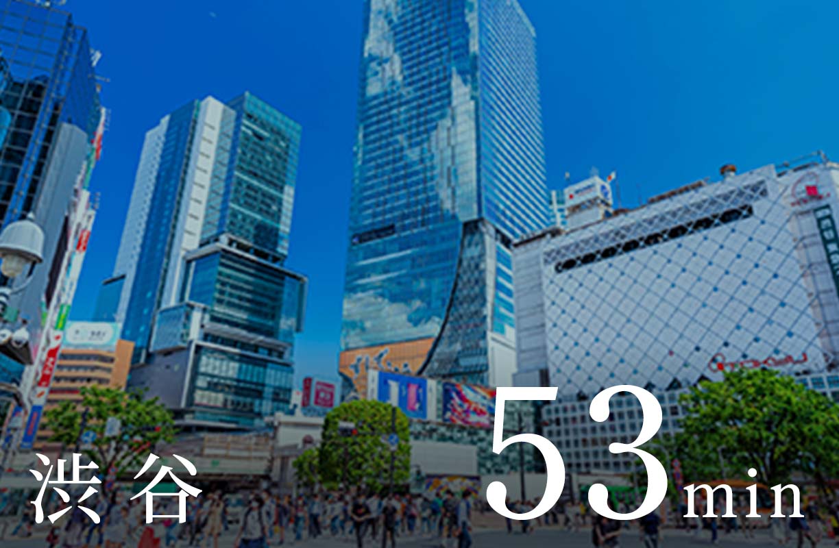 渋 谷 53min