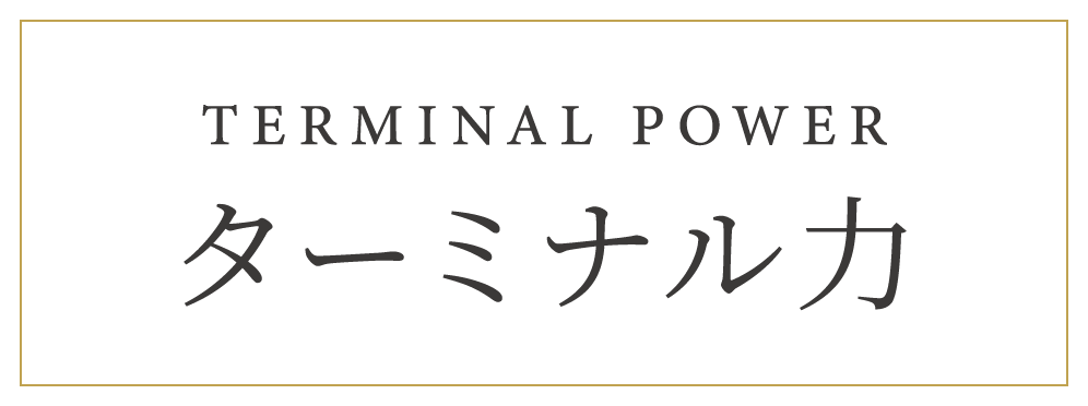 TERMINAL POWER ターミナル力