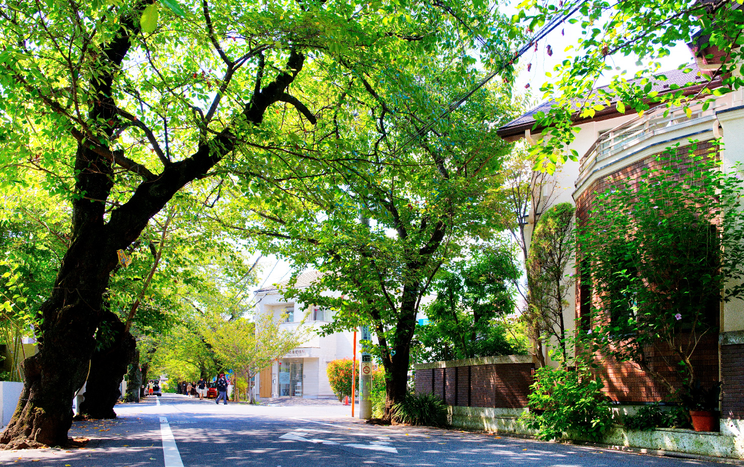 現地周辺の街並み（徒歩7分/約550m）