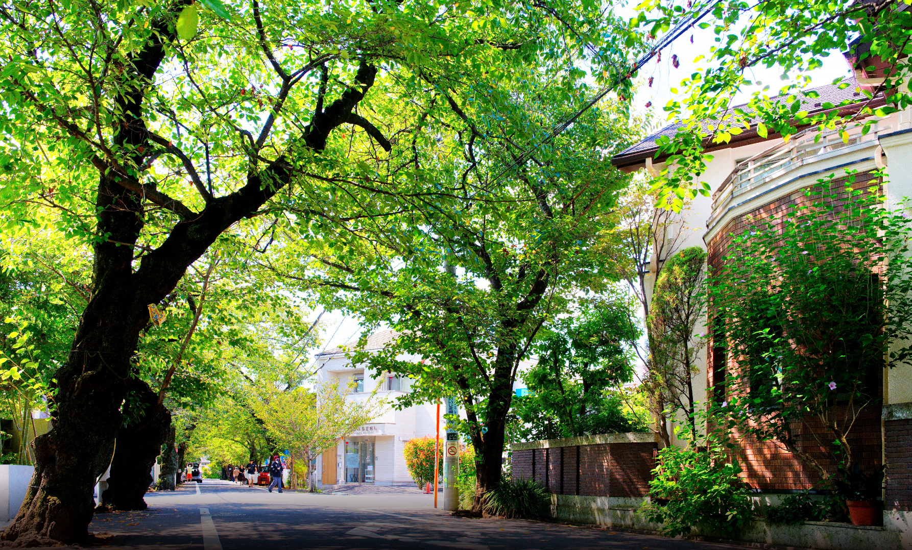 現地周辺の街並み（徒歩7分/約550m）