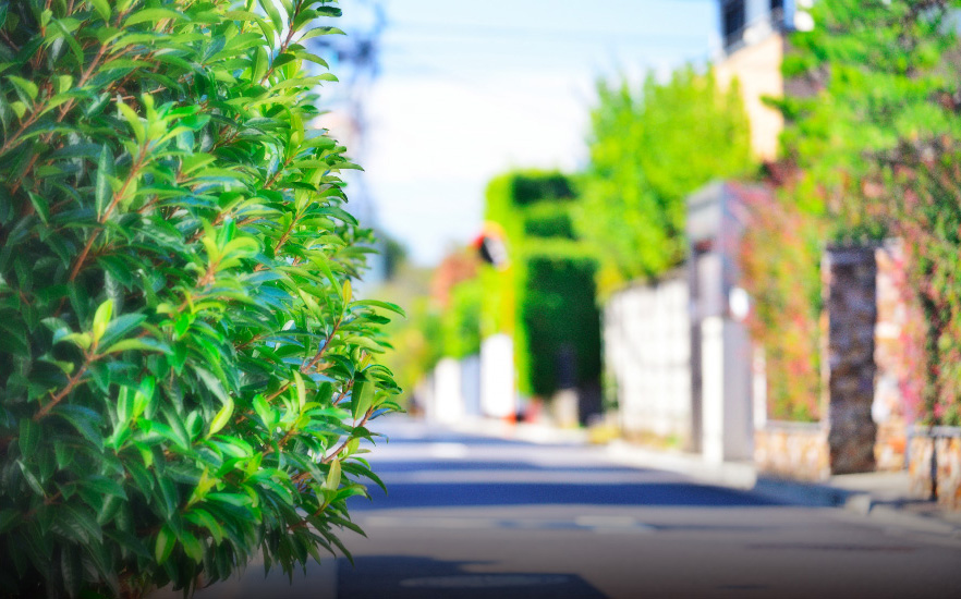 現地周辺の街並み（徒歩5分/約400m）