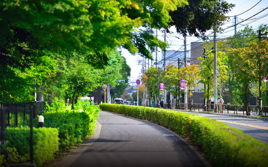 赤堤通り（徒歩8分/約580m）