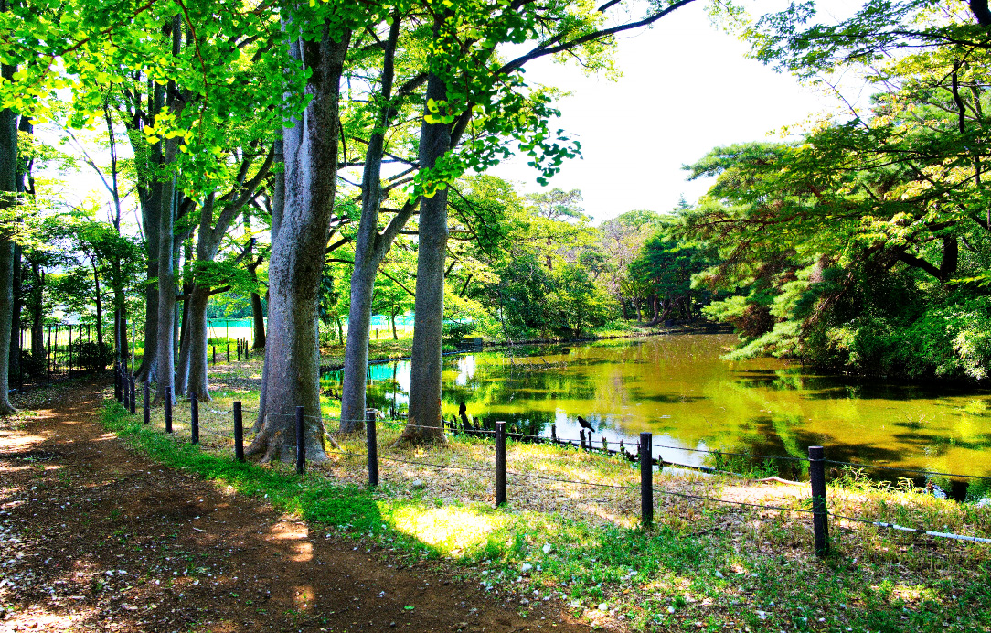 将軍池広場（徒歩4分/約310m）