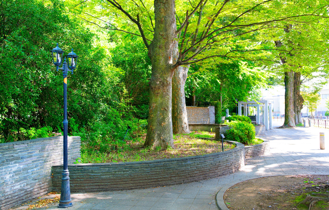 松沢けやき公園（徒歩8分/約580m）