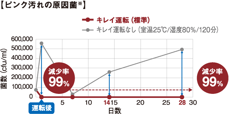 ピンク汚れの原因菌